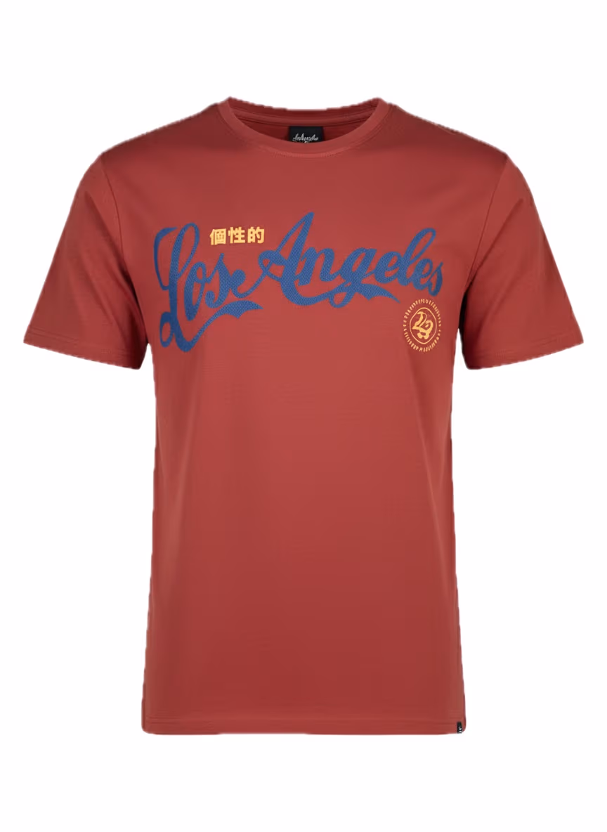 Branded T-shirt Printing Factory Serving the US Market