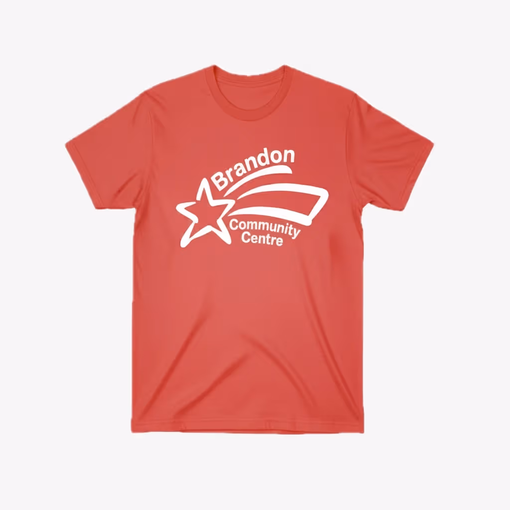 Printed Promotional Top T-shirts Exporters for Czech Republic